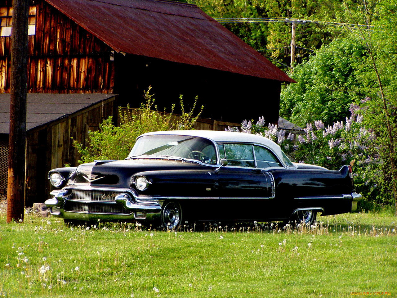 , cadillac